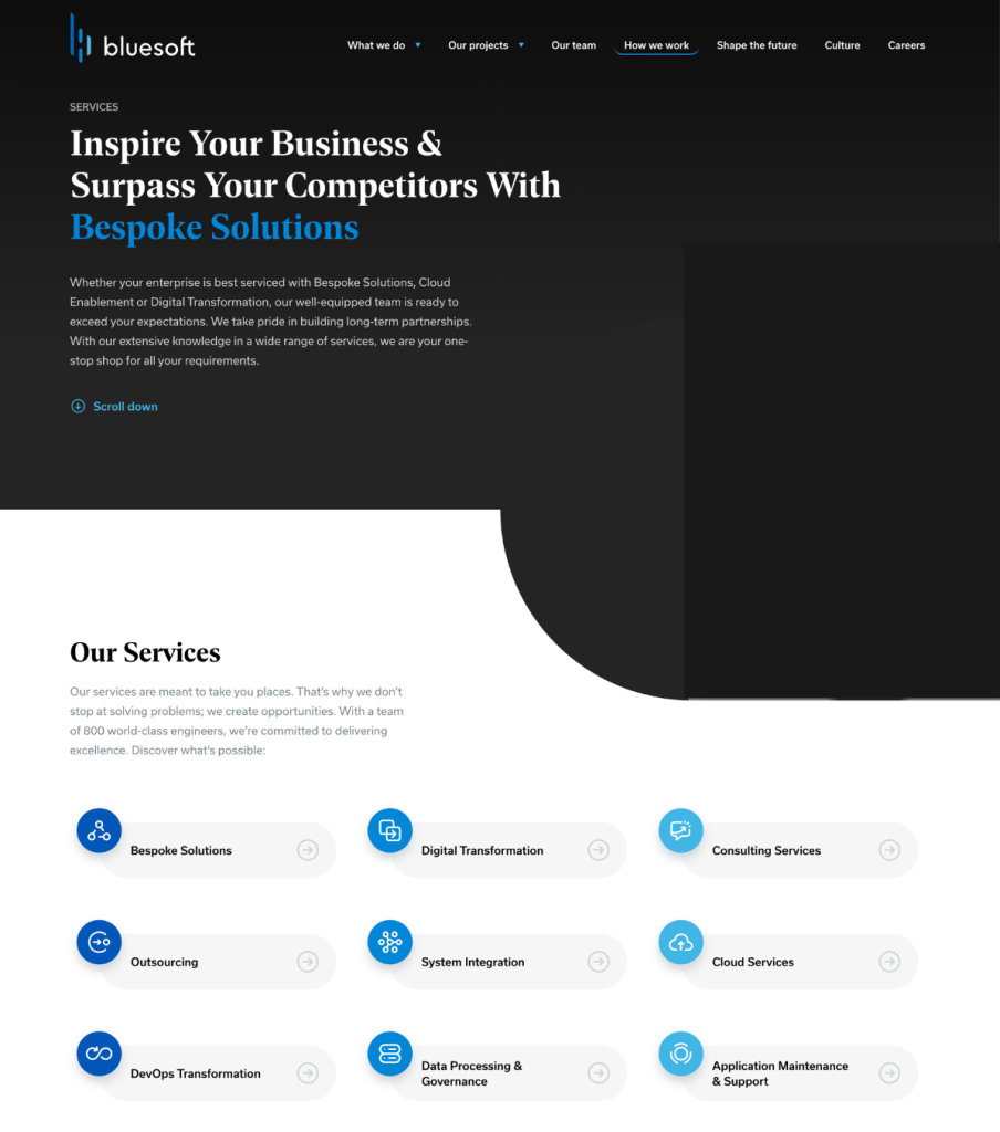 website copy bluesoft examle