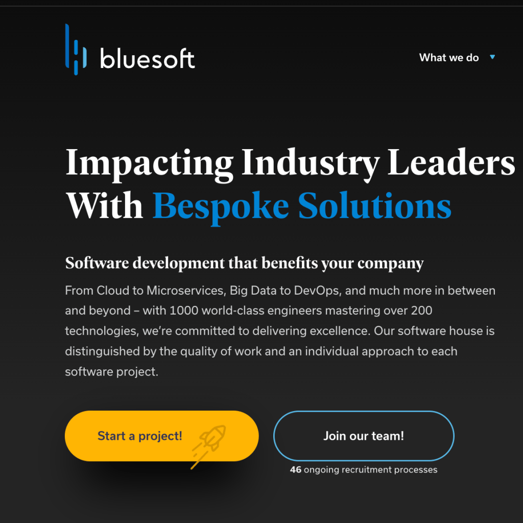 Bluesoft – website&nbsp;copy